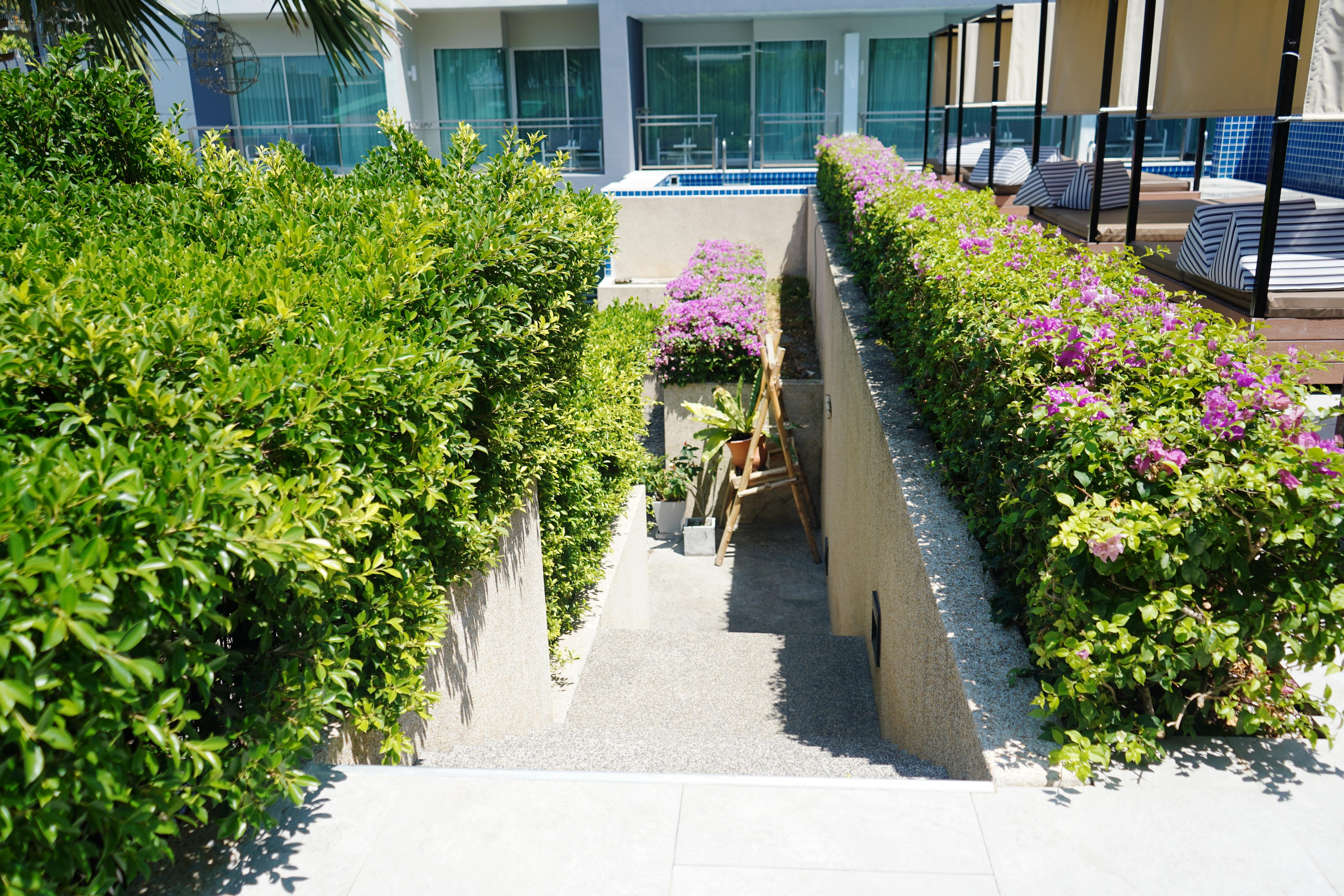 Sugar Palm Grand Hillside - SHA Plus Strand Kata Exterior foto